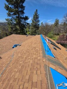 A residential roof mid-replacement, with new tan architectural shingles covering most of the slope and blue synthetic underlayment exposed along the ridge and valley, plus safety harness lines and pine trees under a blue sky.