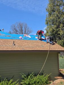 Three workers in safety harnesses install blue synthetic underlayment on a sloped roof above tan shingles, with ropes running down the side of a green-sided house under a clear blue sky.